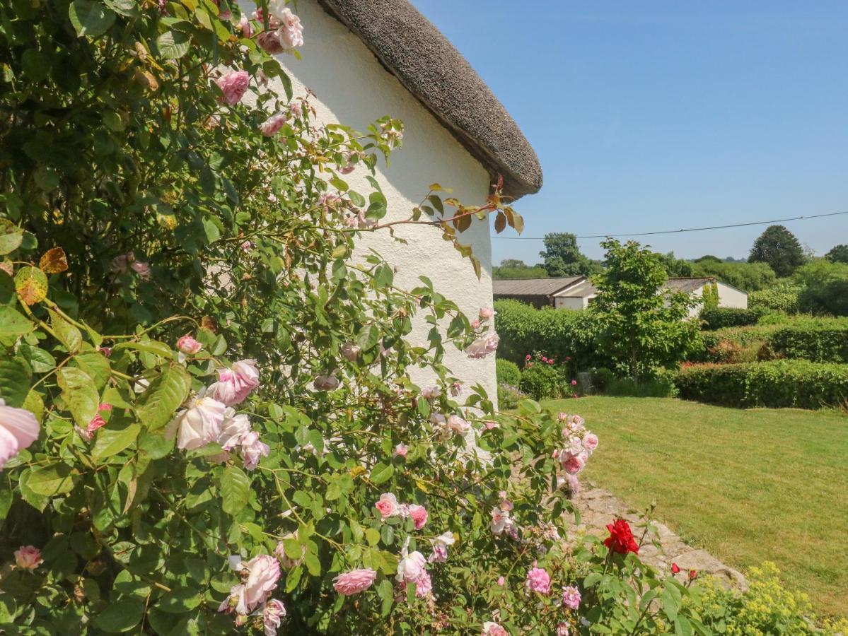 Langstone Farm Okehampton Exterior foto